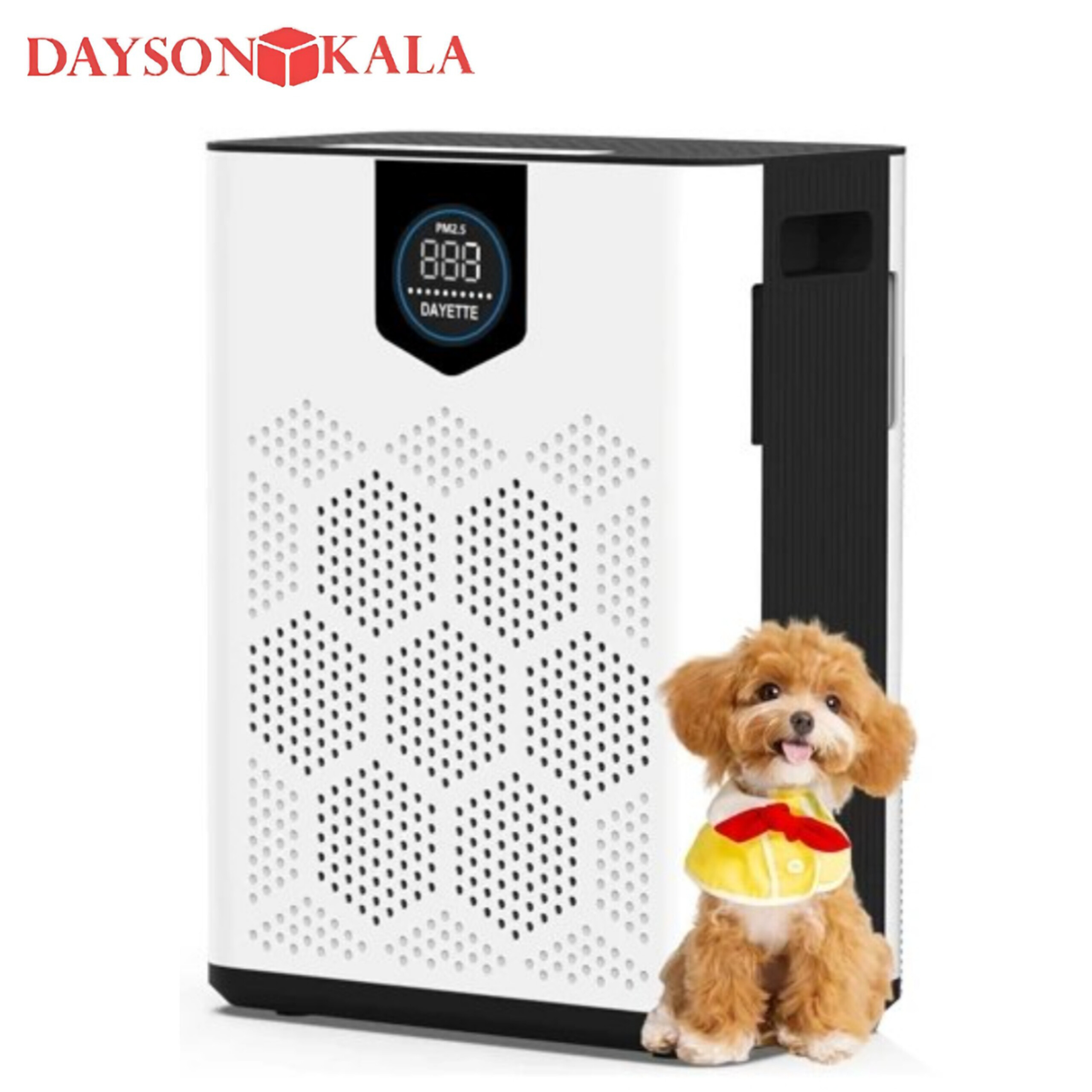 تصفیه کننده هوا Dayette AP303